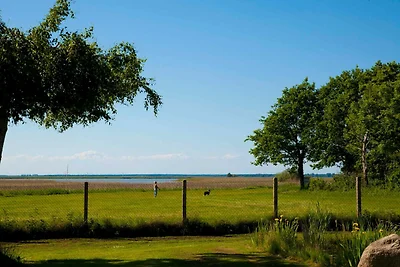 Casa vacanze Vacanza di relax Saal in Vorpommern