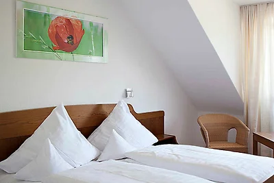 Albergo Cultura ed escursioni Schliengen