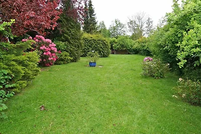 - mit Waldblick und Glasfaser