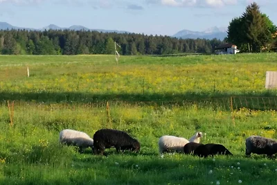 Ferienwohnung Bergblick