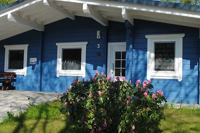 Vakantiehuis Ontspannende vakantie Edertal