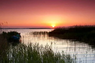 Casa vacanze Vacanza di relax Saal in Vorpommern