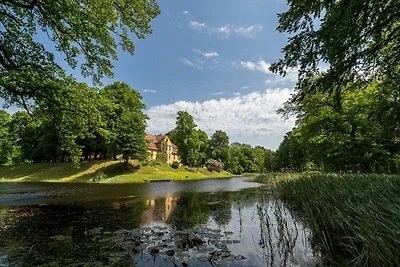 Wohnung Über den Linden