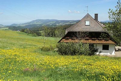 Vakantieappartement Gezinsvakantie St. Märgen