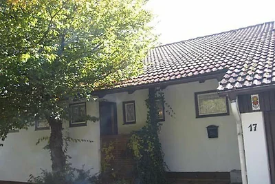 Ferienhaus mit grosser Süd-West-Sonnenterrass...