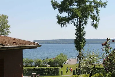 Albergo Cultura ed escursioni Plau am See