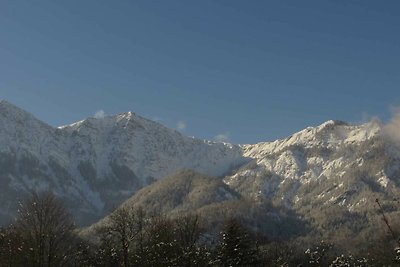 Vakantieappartement Gezinsvakantie Bad Goisern