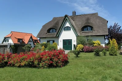 Barendorf Padua Ferienwohnung