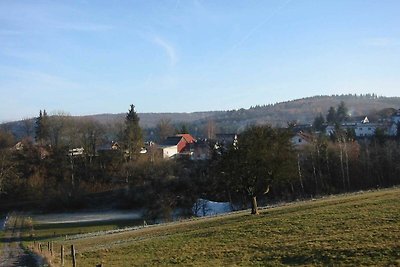 Vakantieappartement Gezinsvakantie Waldsolms