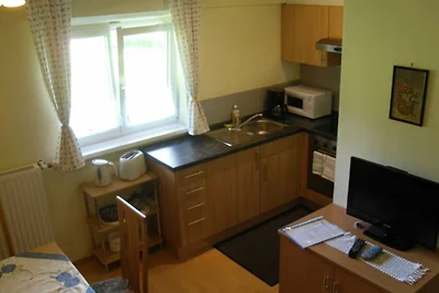 Vakantieappartement Gezinsvakantie Bad Goisern