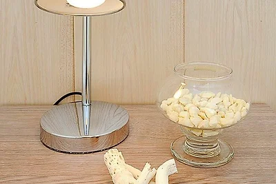 Ferienwohnung Kleiner Seestern