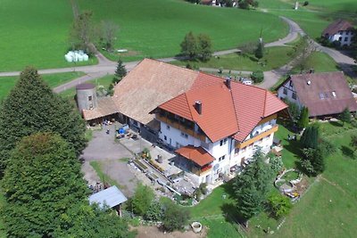 Vakantieappartement Gezinsvakantie Biederbach