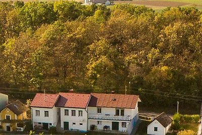 Vakantieappartement Gezinsvakantie Burgenland