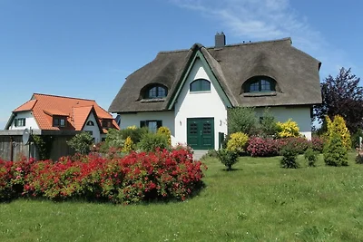 Barendorf Padua Ferienwohnung