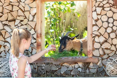 Appartamento Vacanza con famiglia Pillerseetal-Fieberbrunn