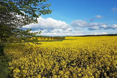 Ferienwohnung Kranichblick