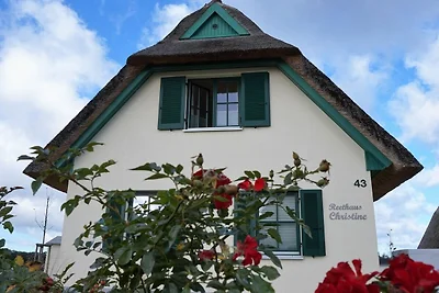 Vakantiehuis Ontspannende vakantie Zierow