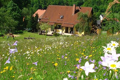 Vakantieappartement Gezinsvakantie Hollfeld