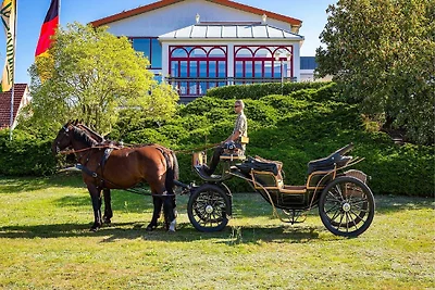 hotel Kultura & obilasci Heringsdorf