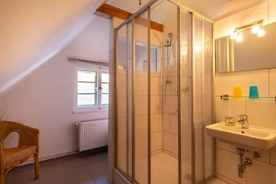 Albergo Cultura ed escursioni Neuenkirchen