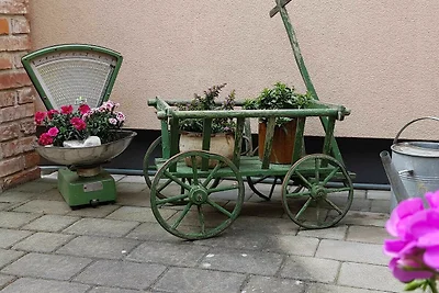 Vakantieappartement Gezinsvakantie Senftenberg