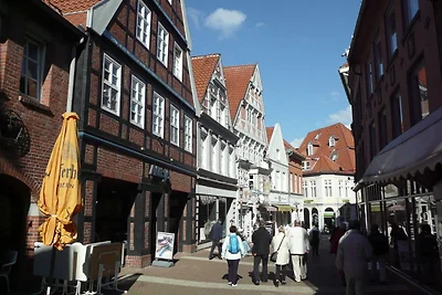 Ferienhaus 167 Deichgraf 86qm für max.