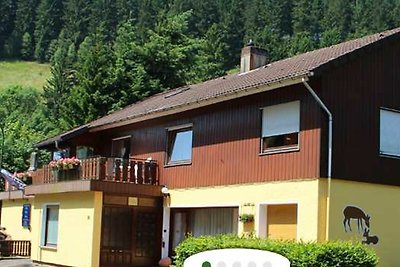 Vakantieappartement Gezinsvakantie Wildemann