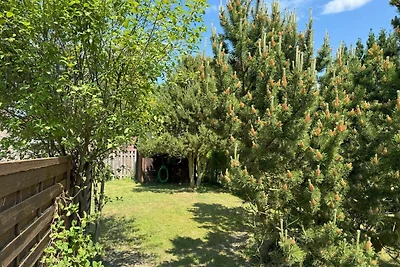 Reetdachhütte im Birkenhain
