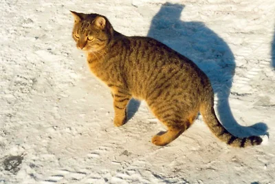 Ferienwohnung 4 Personen 1