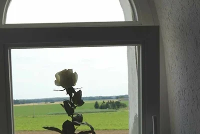 Casa vacanze Vacanza di relax Wittingen