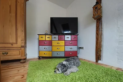 Vakantieappartement Gezinsvakantie Kamminke