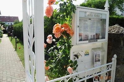Vakantieappartement Gezinsvakantie Lubmin