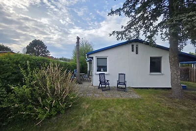 Ferienhaus Karline - nicht weit von der Ostse...