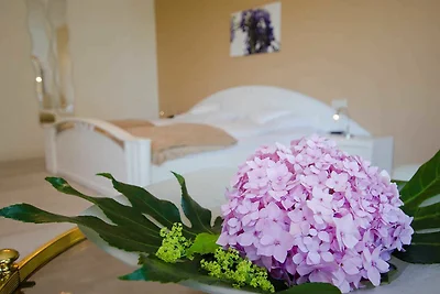 Hotel Cultuur en bezienswaardigheden Leer
