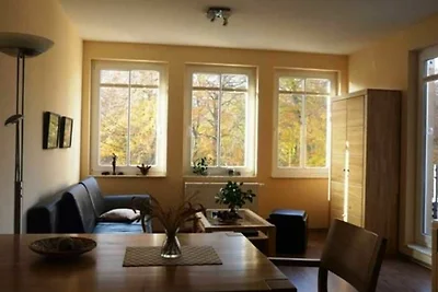Haus Bucheneck - Apartment WE 11