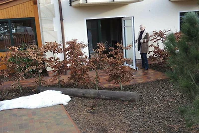 DZ 19 Max mit Terrasse,...