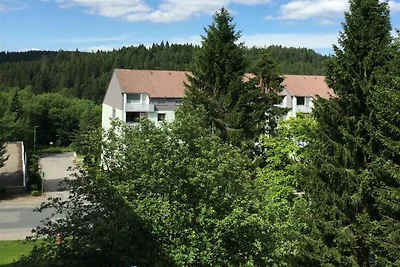 Hotel Cultuur en bezienswaardigheden Altenau