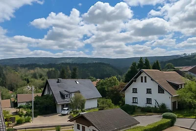 Altenauer Traumsicht