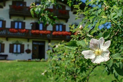 Ferienwohnung Almsommer