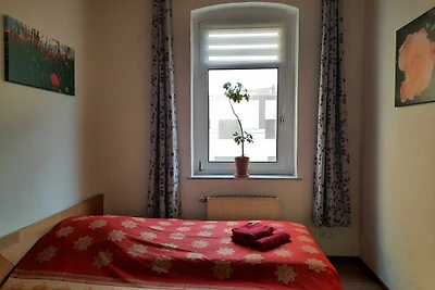 Ferienwohnung am Stadtpark_Rosenblüte