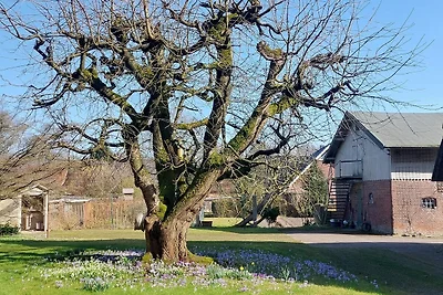 Ferienwohnung Maass