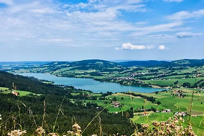 Vakantieappartement Gezinsvakantie Zell am Moos