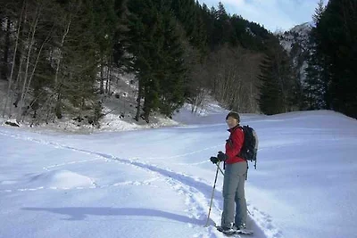 Appartamento Vacanza con famiglia Schoppernau