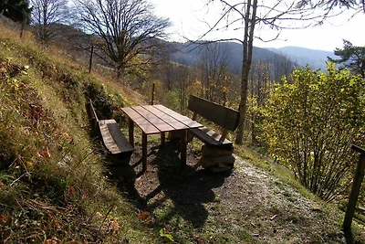 Vakantieappartement Gezinsvakantie Wieden