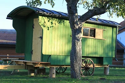 Accommodatie Vakantie op de boerderij Borna