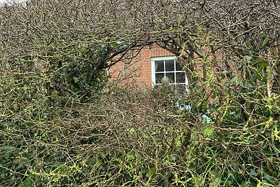 Baum-Haus Dangast