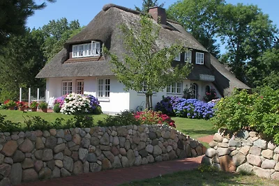 Vakantieappartement Gezinsvakantie Nieblum