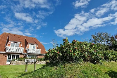 Haus Trischen Whg 02