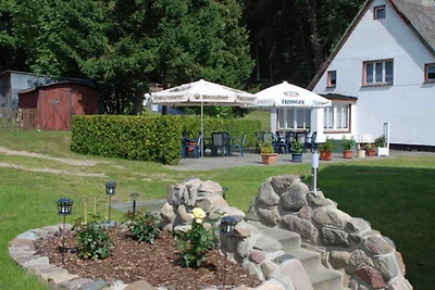 Vakantieappartement Gezinsvakantie Sellin