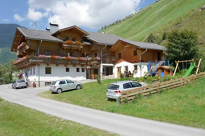 Vakantieappartement Gezinsvakantie Innervillgraten